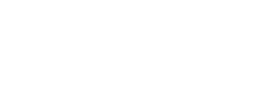 Logo Azzurro ZCS Service Partner