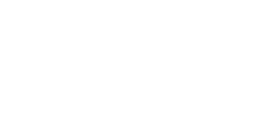 Logo Enel